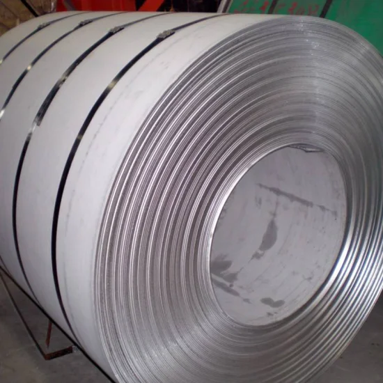 Proveedor de material de acero inoxidable ofrece placa plana de acero inoxidable, bobina de acero inoxidable y otros productos de acero inoxidable con Spe completo
